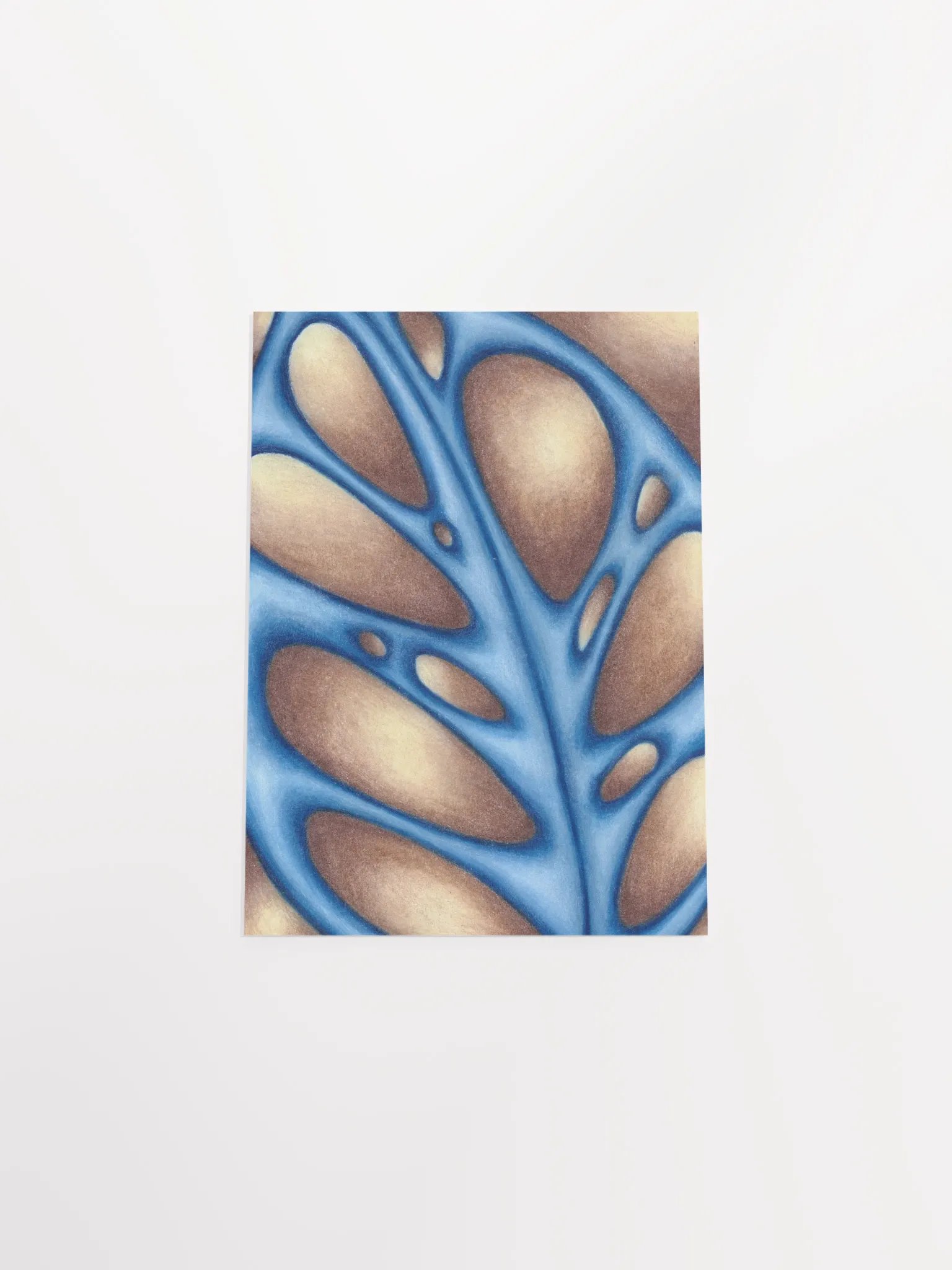 Deliciosa 3 product image (4)