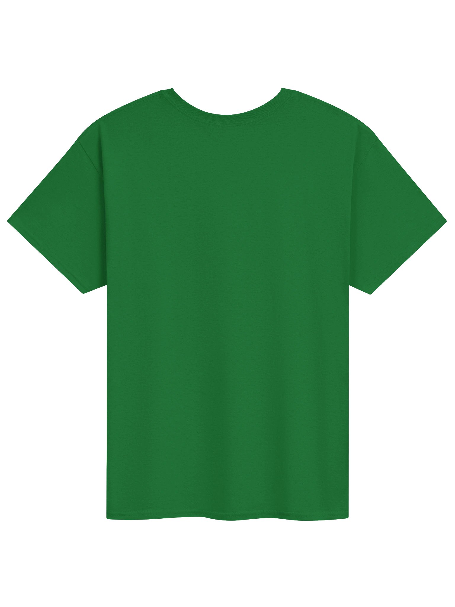 Limerick Champions 2026 Tee - P10 product image (3)