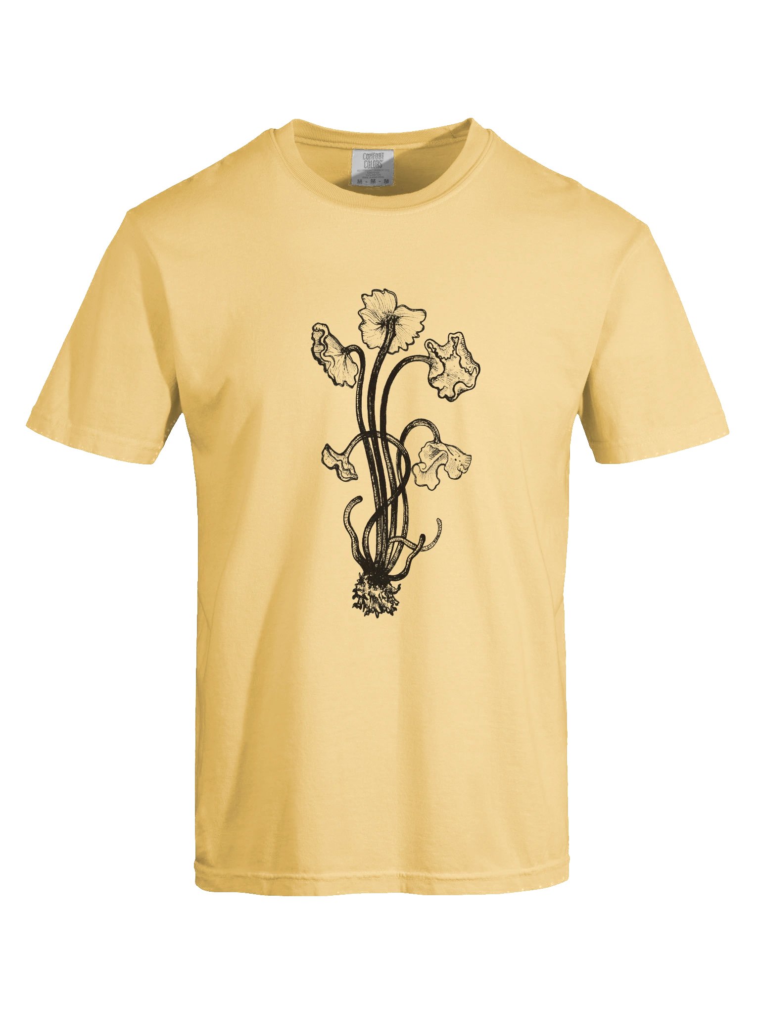 Brown Chanterelle - Print product image (47)