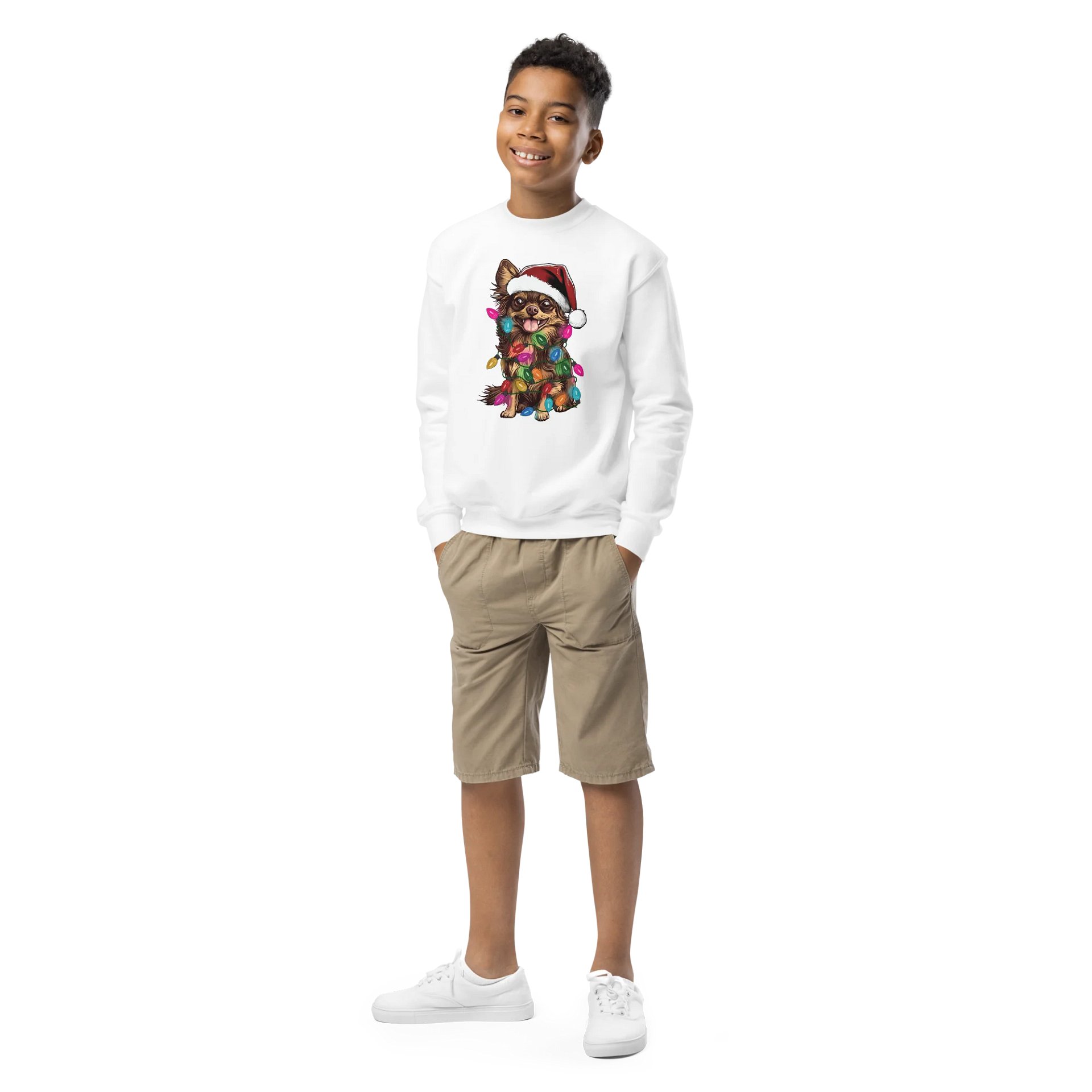 Funny Christmas Longhaired Chihuahua(Chocolate & Tan) Youth Sweatshirt product image (1)