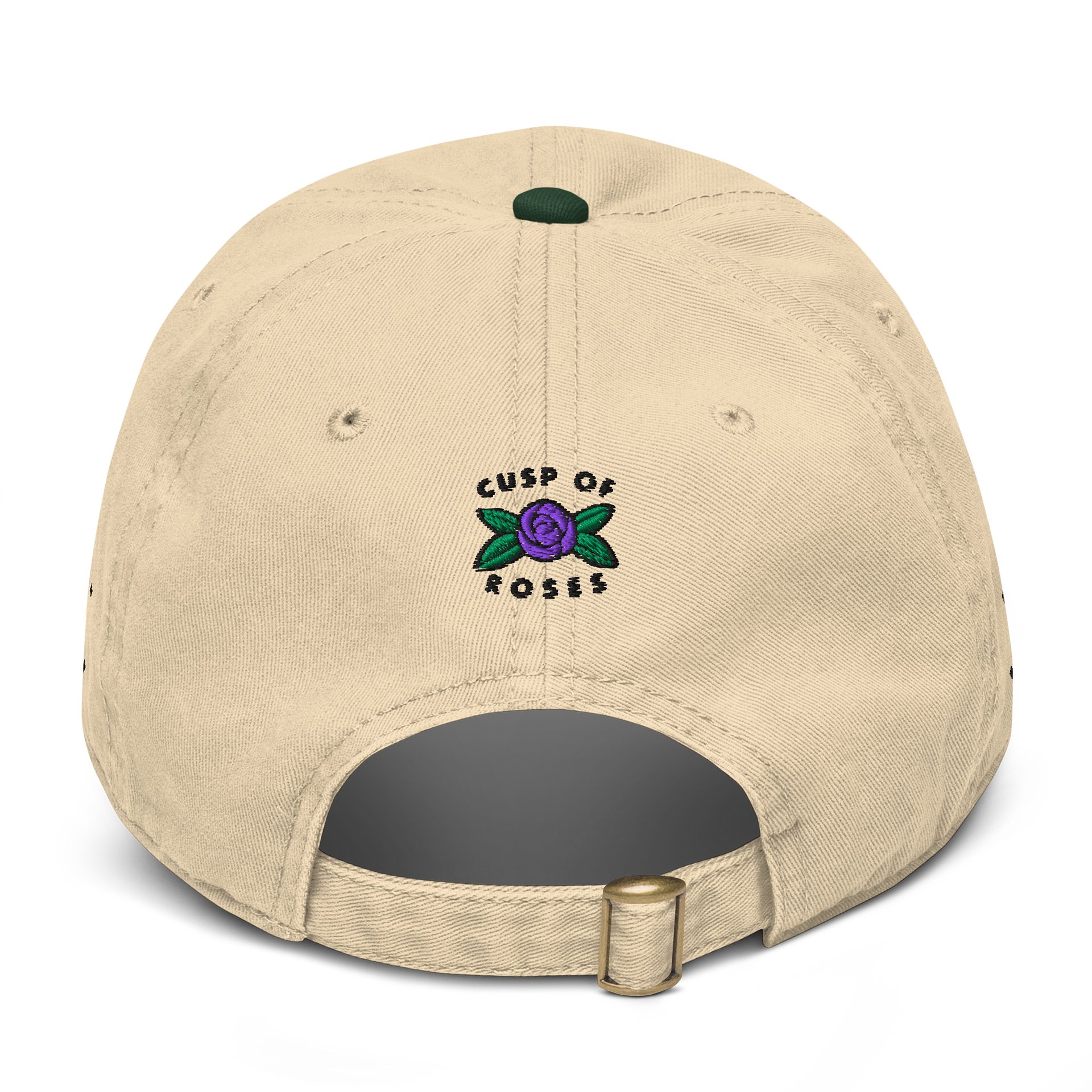 pisces aries cusp dad hat (black) product image (2)
