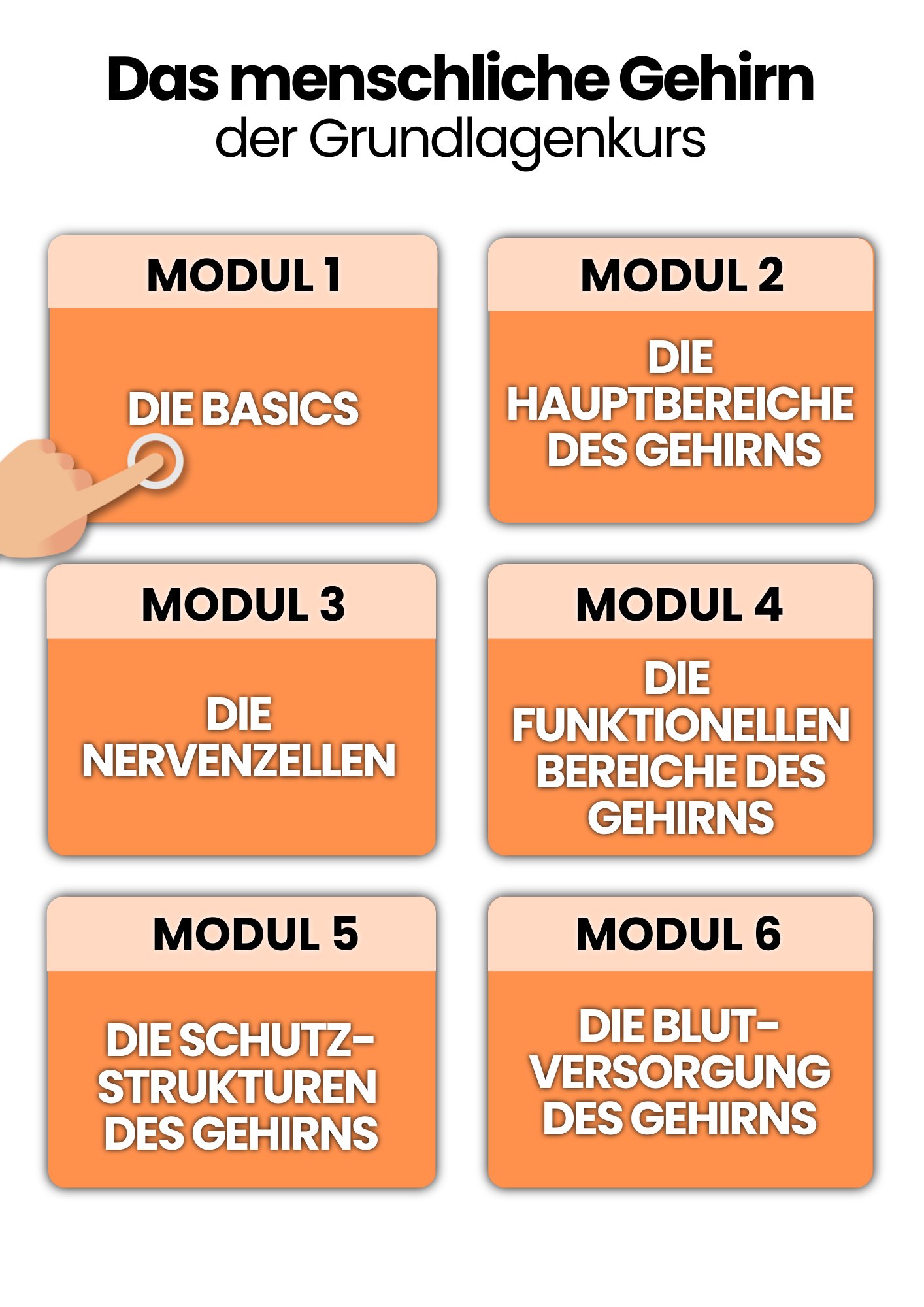 Das Gehirn | der Grundlagenkurs product image (2)