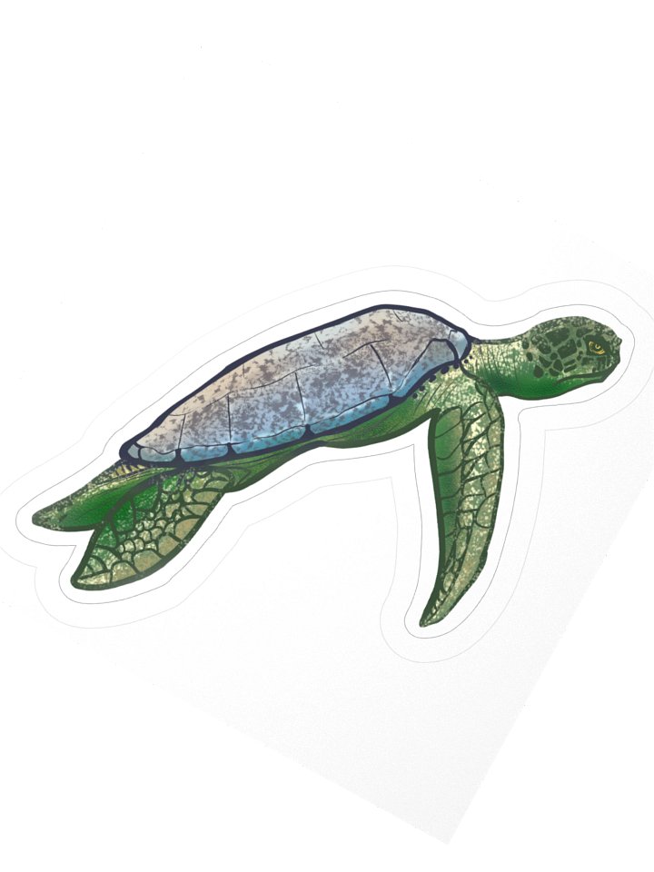 Twenty Turtle Six - April product image (6)