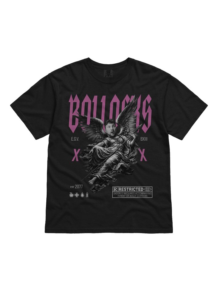 Bollocks (T-Shirt) product image (1)