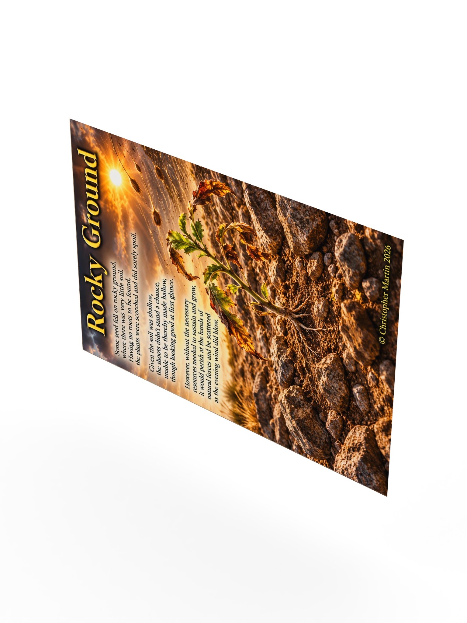 Rocky ground product image (8)