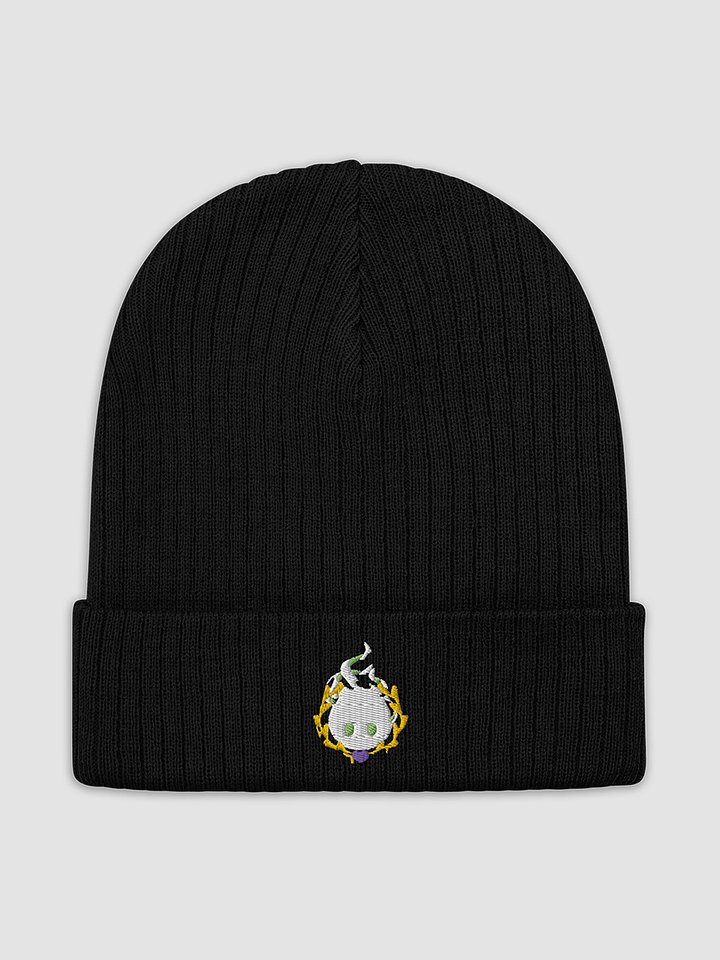 Logo Knitted Beanie! product image (2)