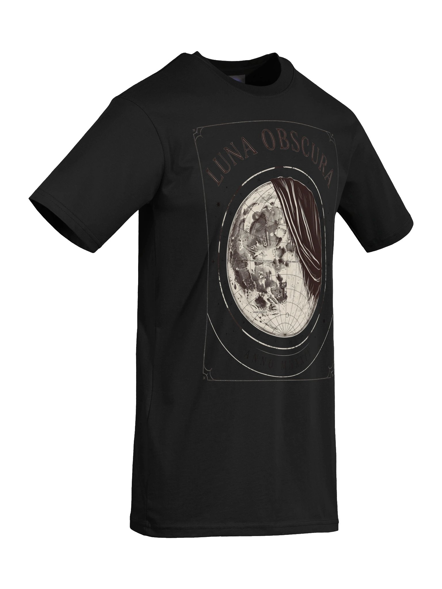 Luna Obscura // Hidden Moon Heavyweight Tee product image (8)