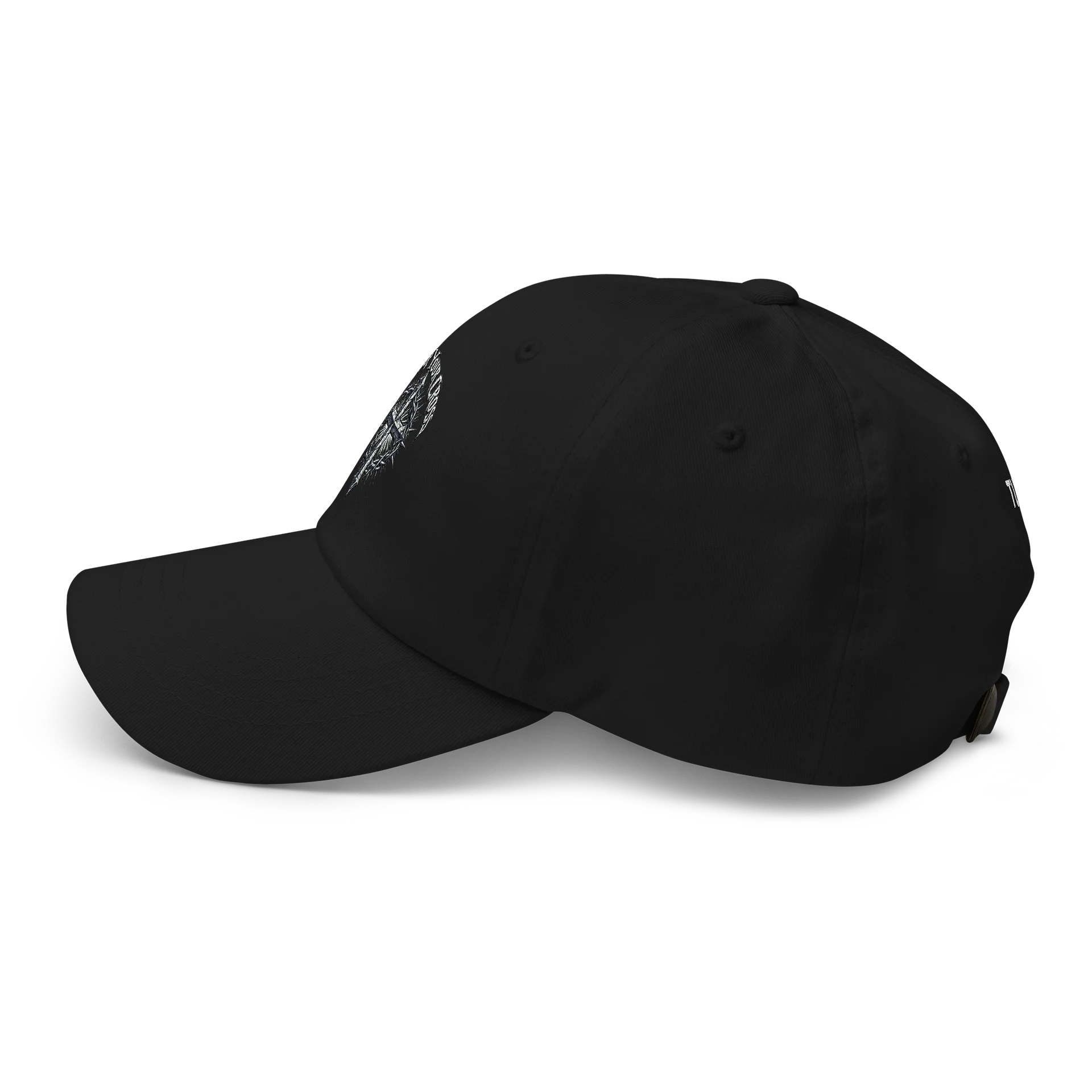 TUYC Classic Ball Cap product image (4)