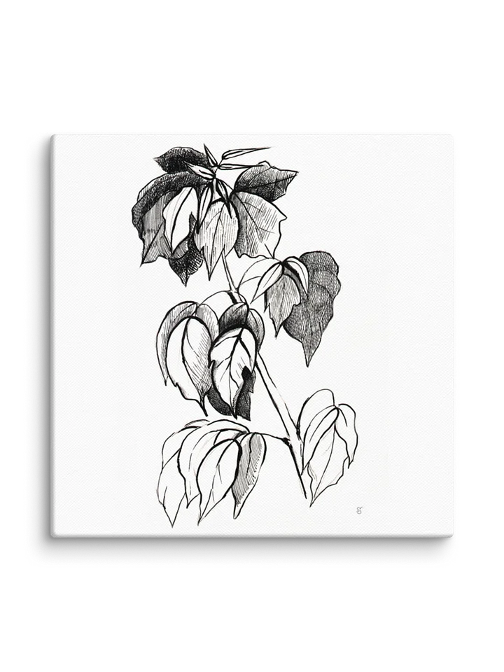 Botanical Line Art Canvas Print - Stylish Graphical Twig product image (2)