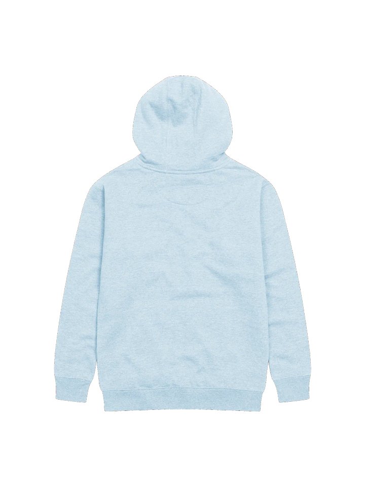 Mich Logo Hoodie product image (4)