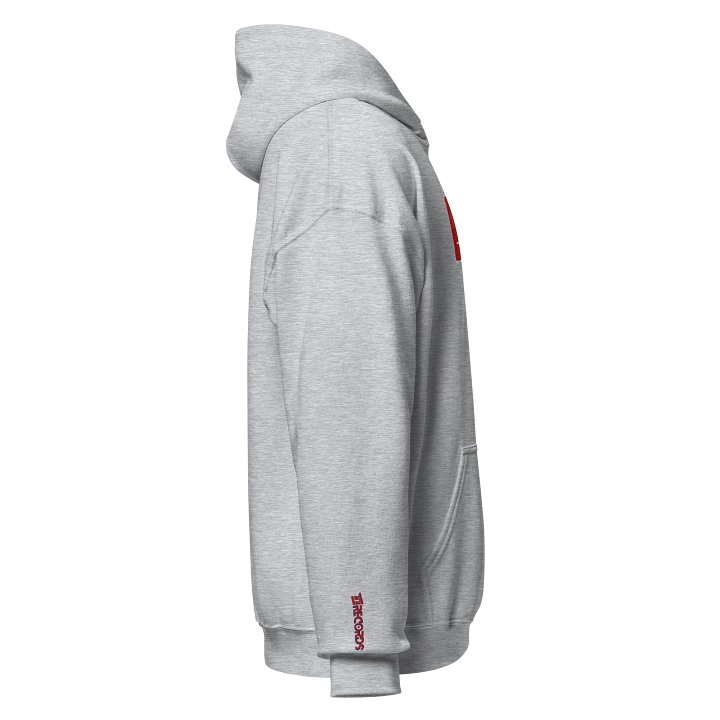 E18 Embroidered Logo Hoodie product image (2)