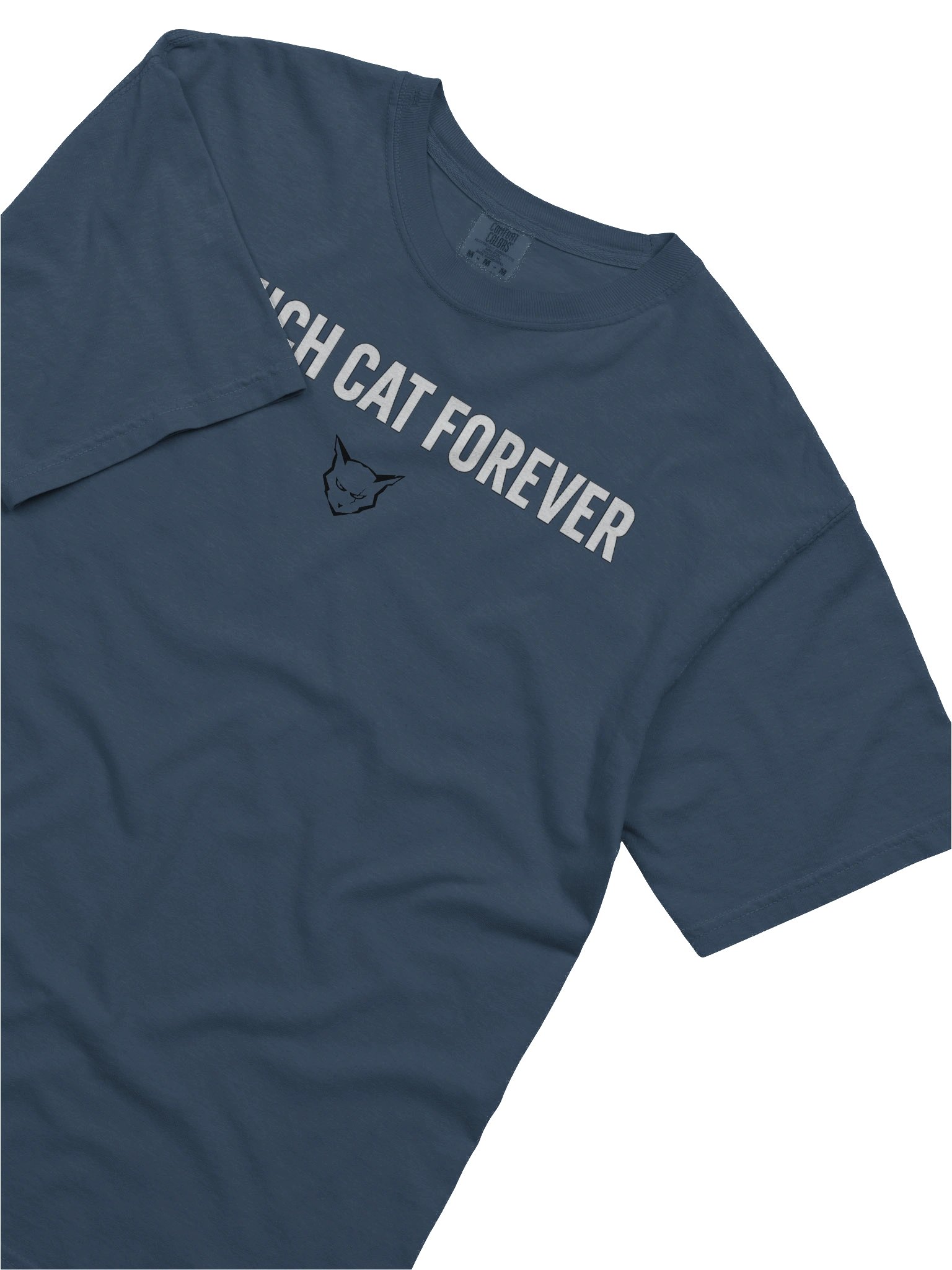 Couch Cat Forever product image (22)