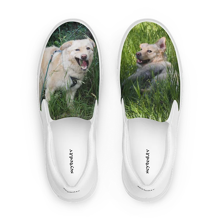 Ray of Sunshine - Milo's Life Women's Slip-On Canvas Shoes product image (1)