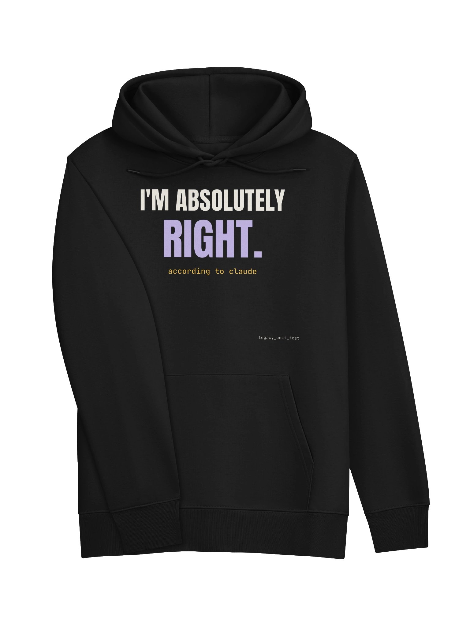 I'm absolutely right hoodie product image (5)