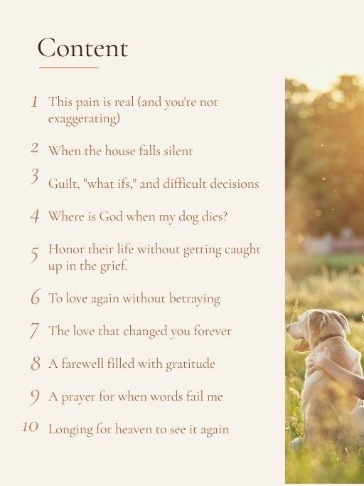 Heal Grief of Losing Your Pet: Pure Love – Healing Guide product image (3)