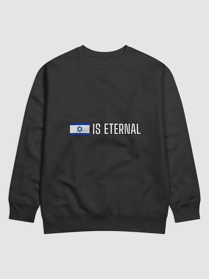 Israel Is Eternal Sweater product image (1)