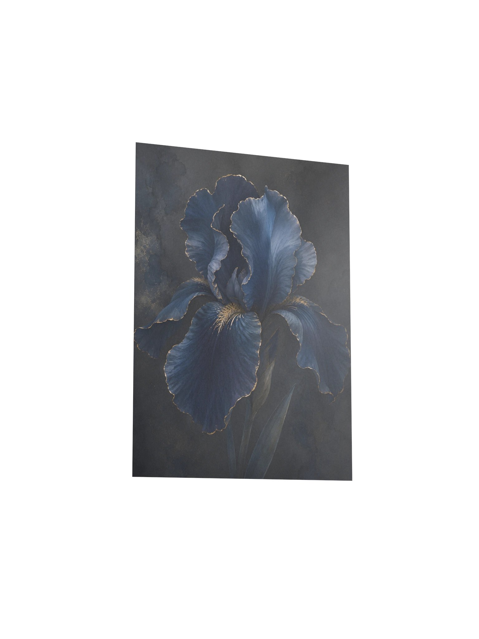 Navy Iris product image (3)