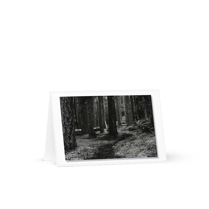 B&W in the Woods product image (1)