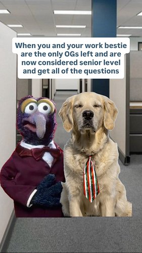 When the heck did this happen???? #workmemes #corporatehumor  #workbestie #officelife #officedogs