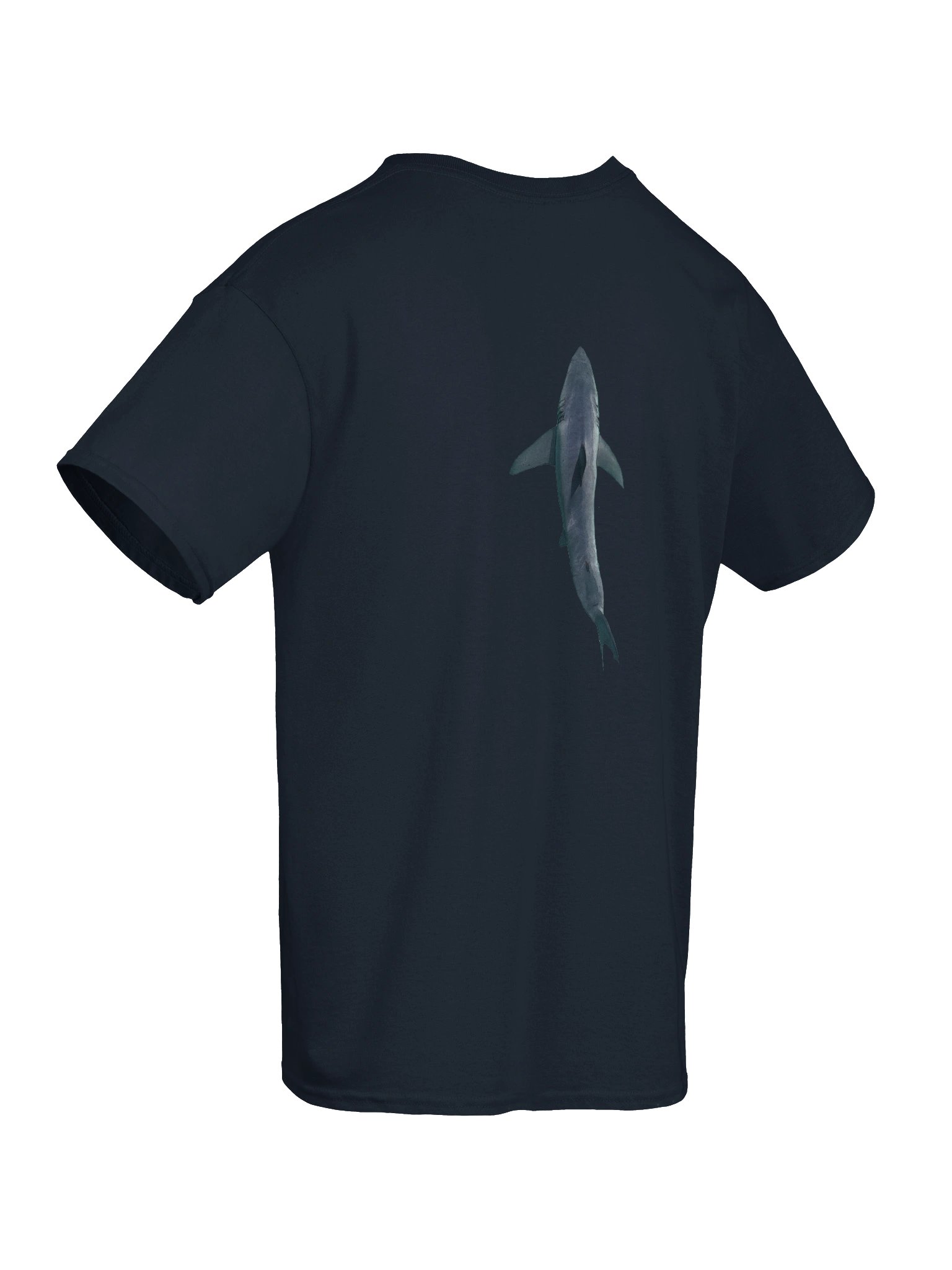 Carcharodon carcharias product image (10)