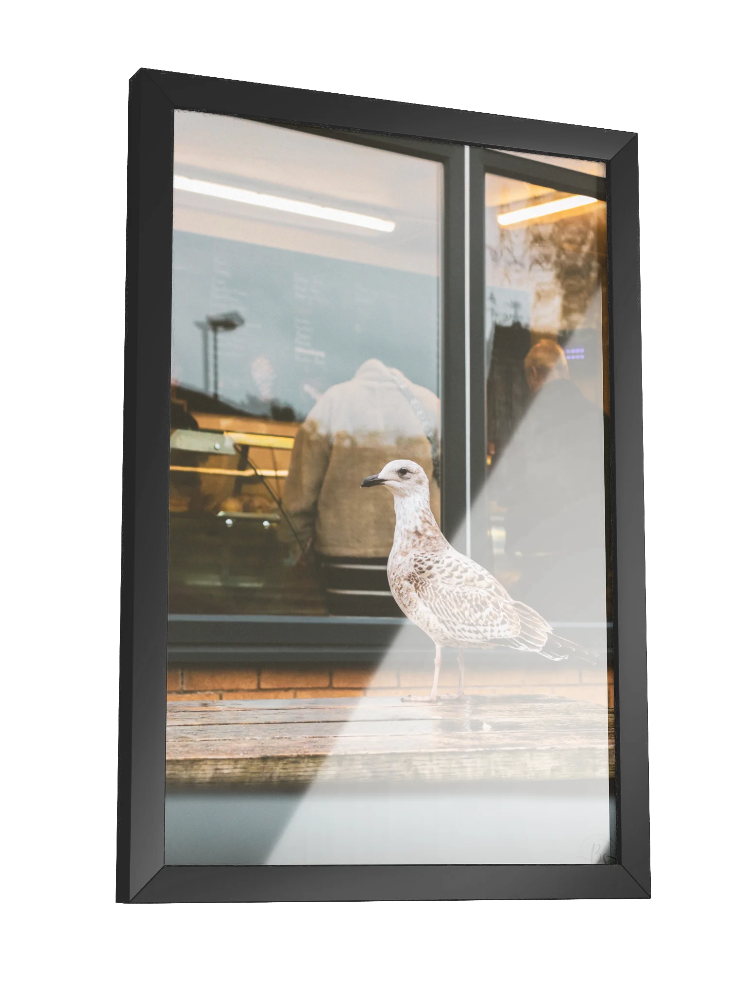 Silent Observer product image (3)