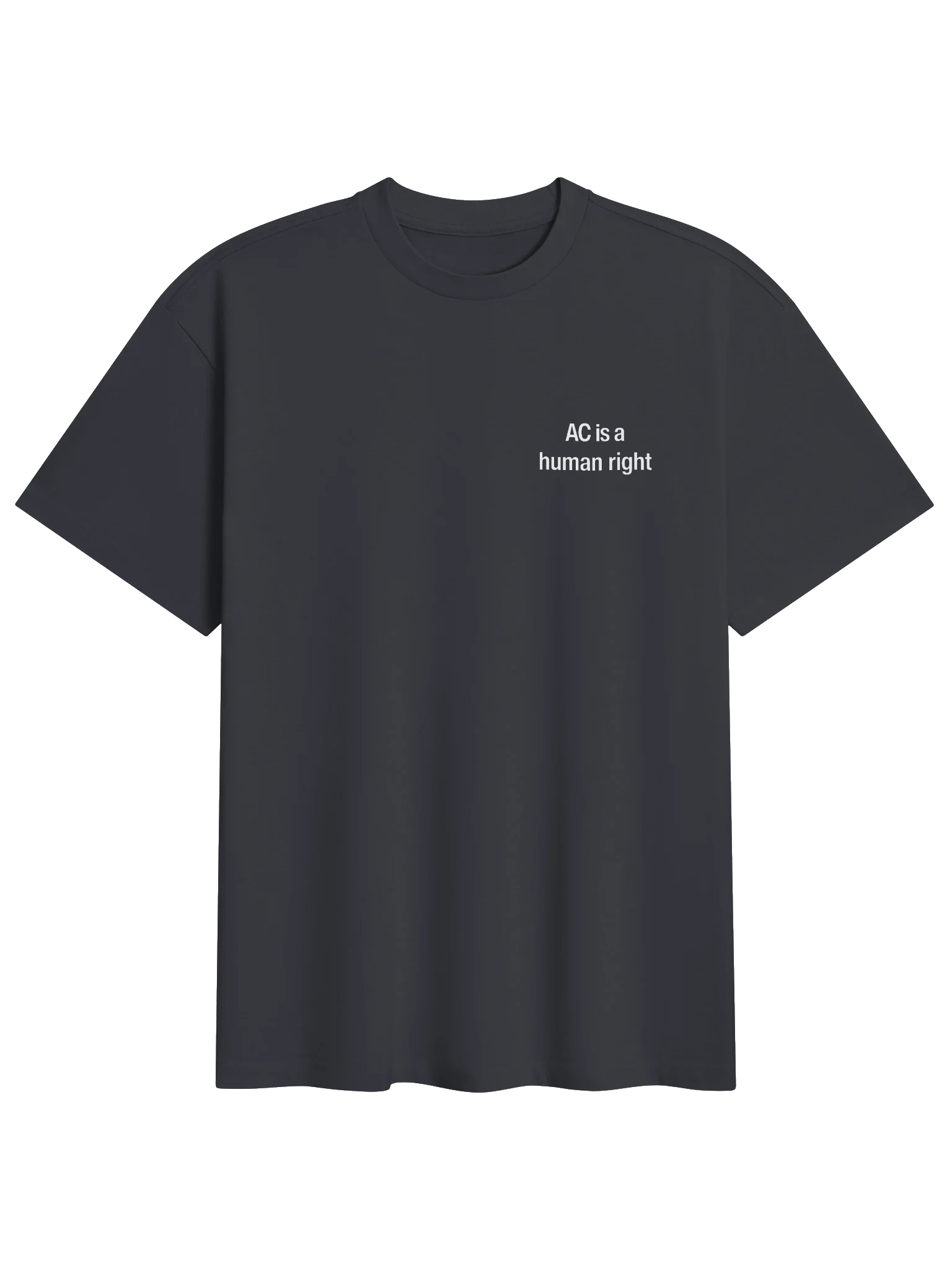 AC Is a Human Right Oversized Tee product image (3)