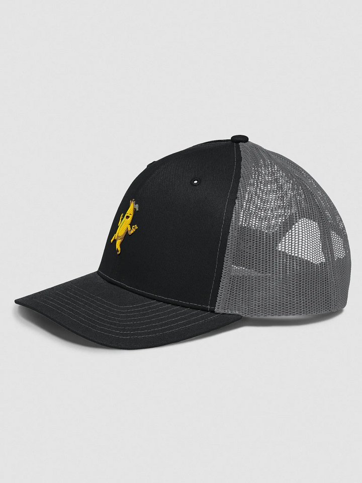 Peel & Reveal Snapback product image (2)