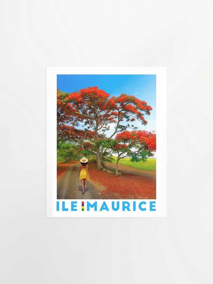 National - Mauritius product image (2)