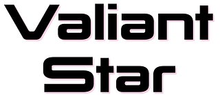 Valiant Star Outfiters
