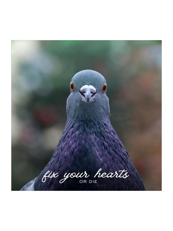 Fix your hearts - Pigeon - Square Sticker product image (3)