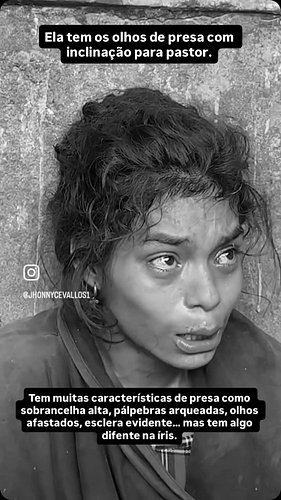 Os olhos de presa dom íris reduzida costumam ser tranquilas e ao mesmo tempo brigonas. 

Elas só querem o ambiente seguro é c...