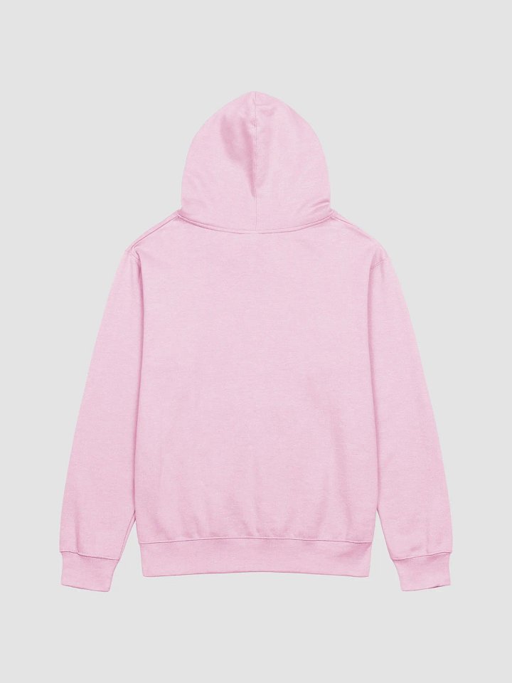 gratitude. hoodie product image (2)
