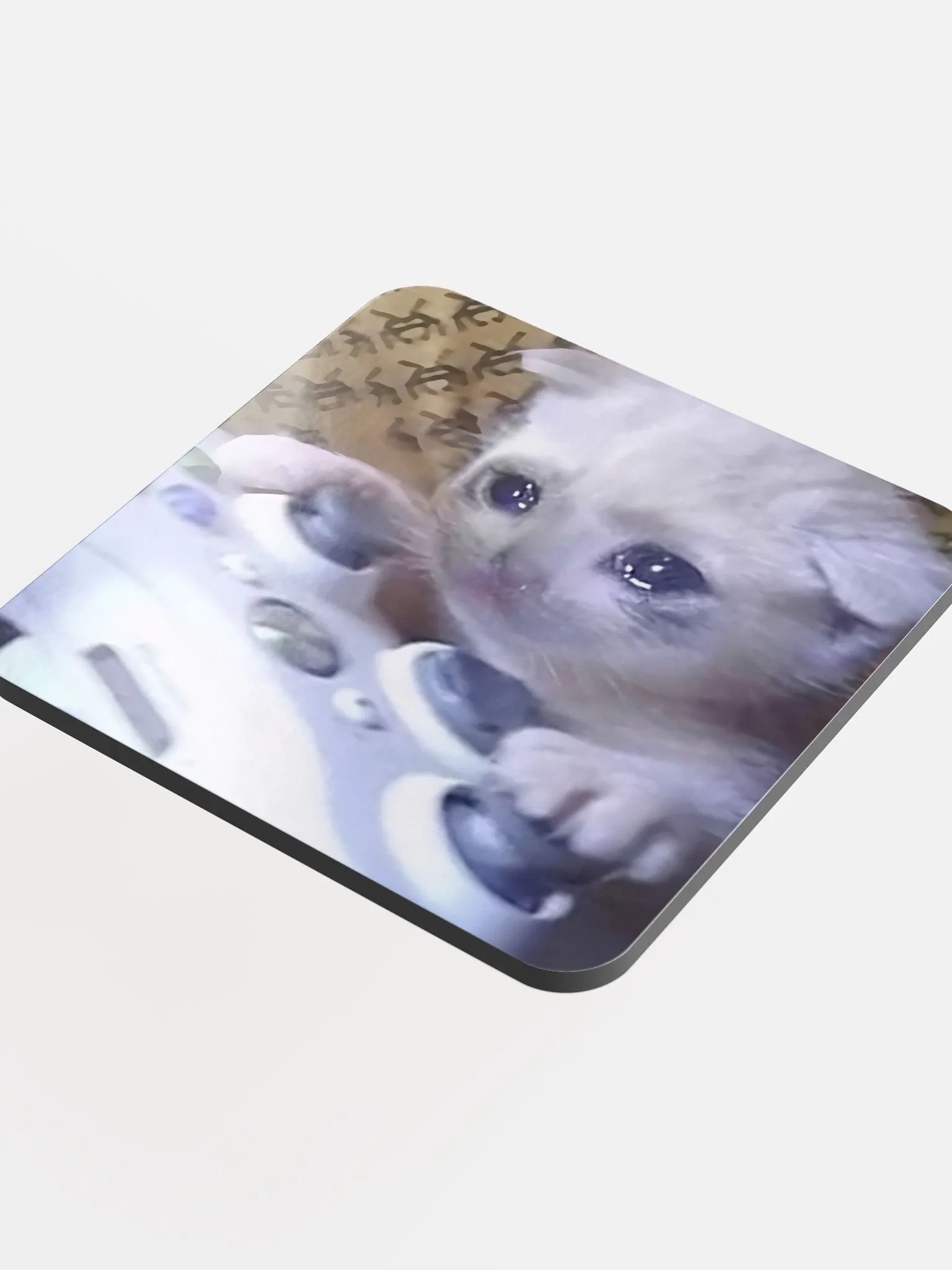 Glossed Cork Coaster: Meme Cats product image (4)