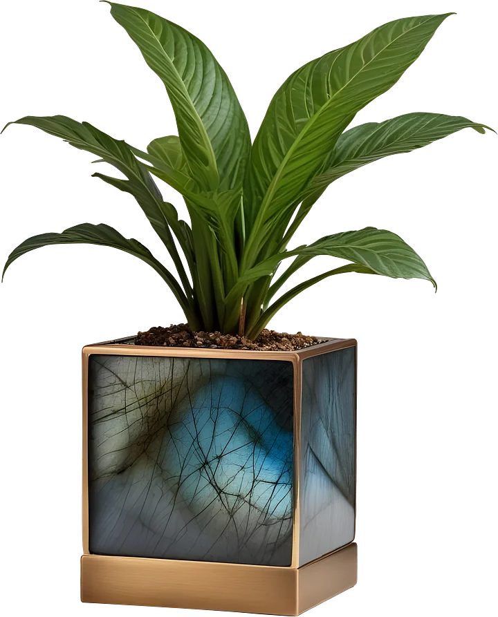 Stellar Luxe – Square Labradorite & Bronze Planter PNG product image (1)
