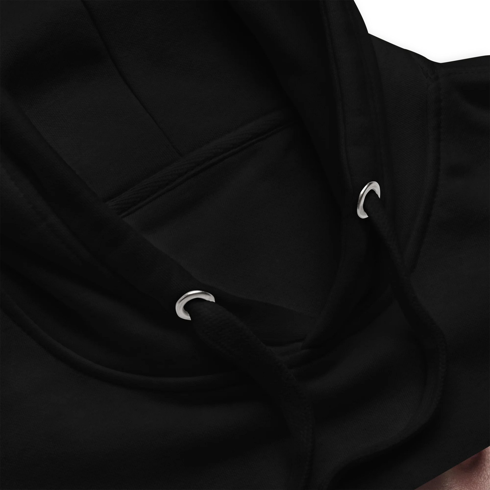 What Freedom of Speech? Hoodie product image (2)