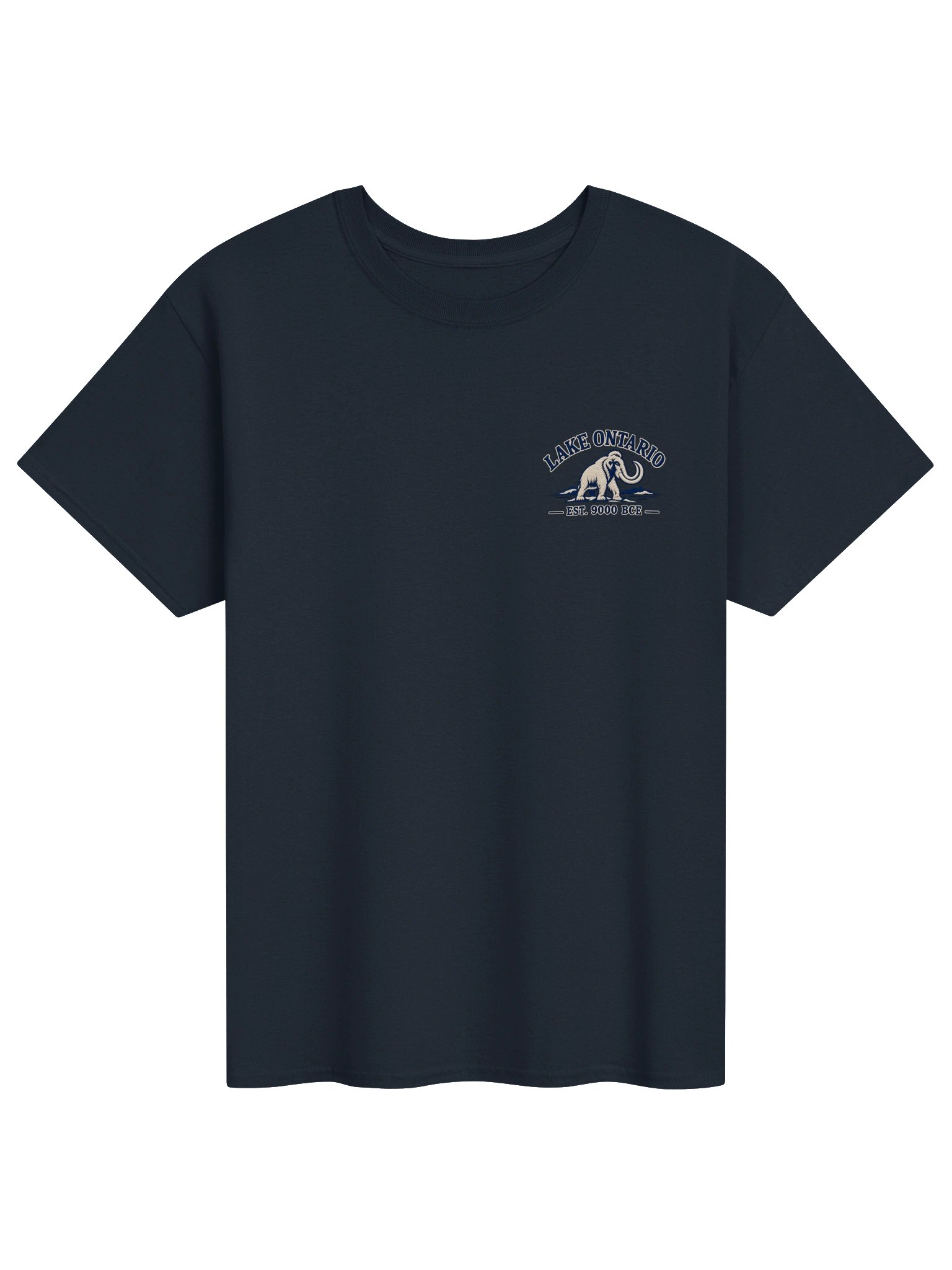 Lake Ontario Mammoth Heavyweight T-Shirt | Navy product image (1)