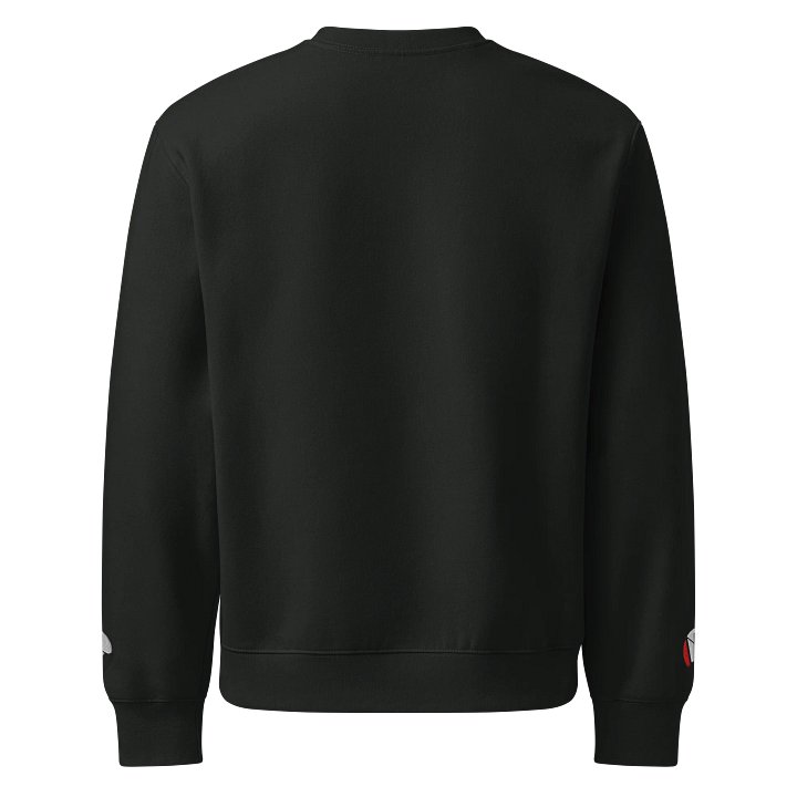 Pull avec logo product image (2)