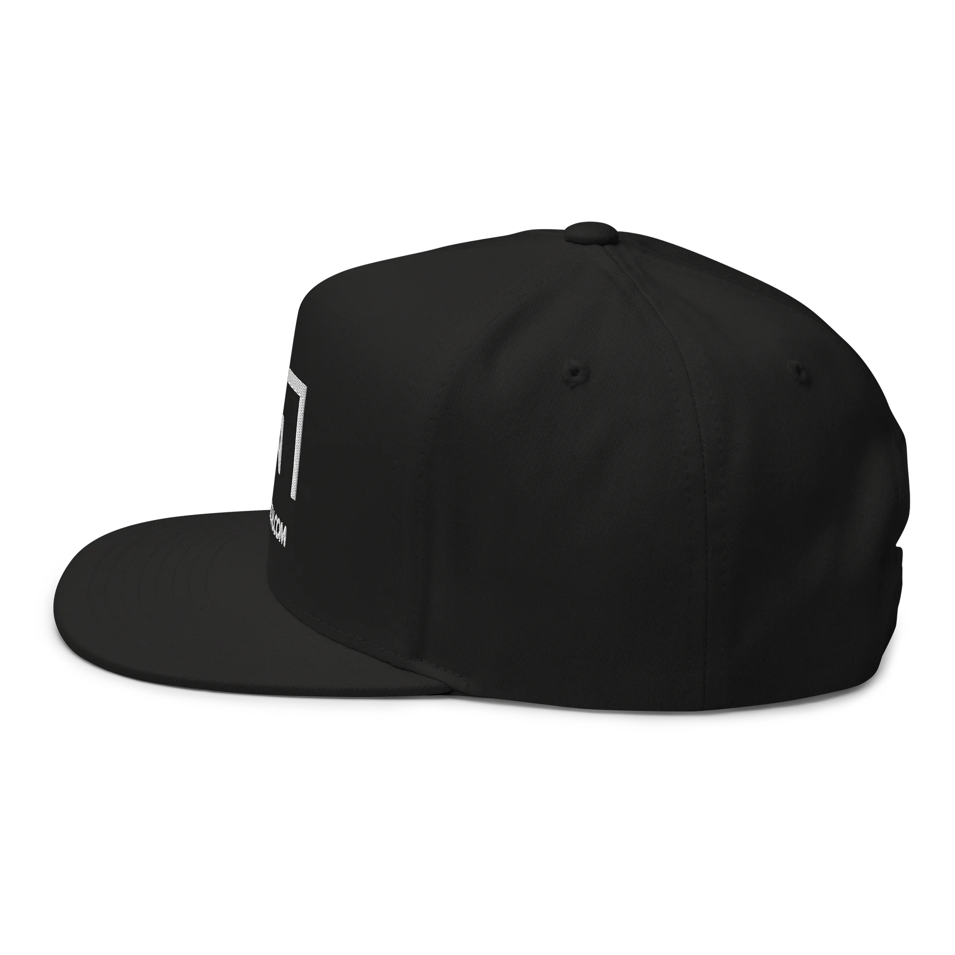 GBSN Foundation SnapBack product image (4)