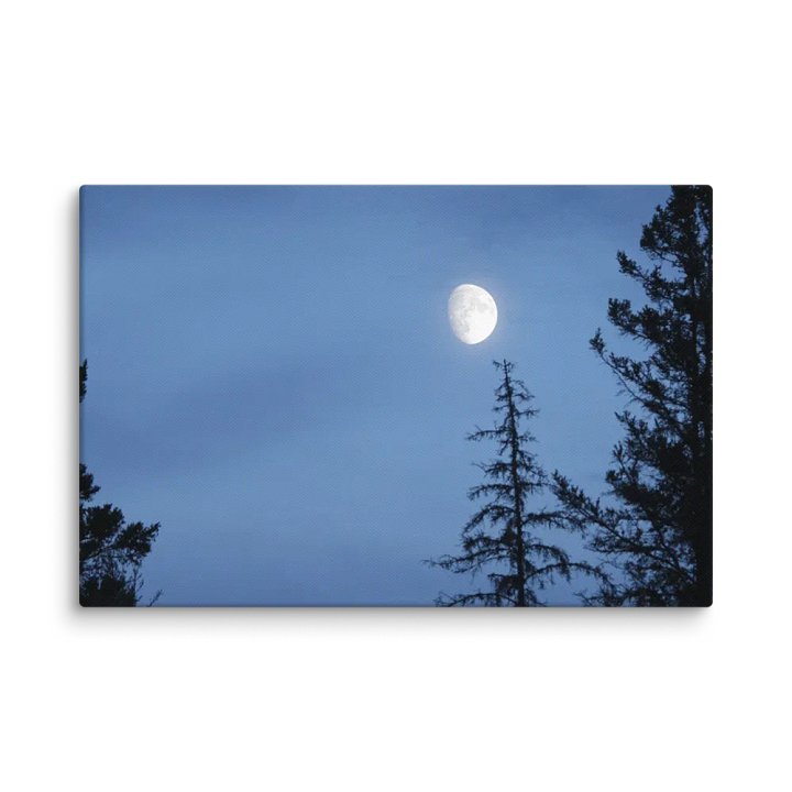 Emilia Elec The Moon product image (2)