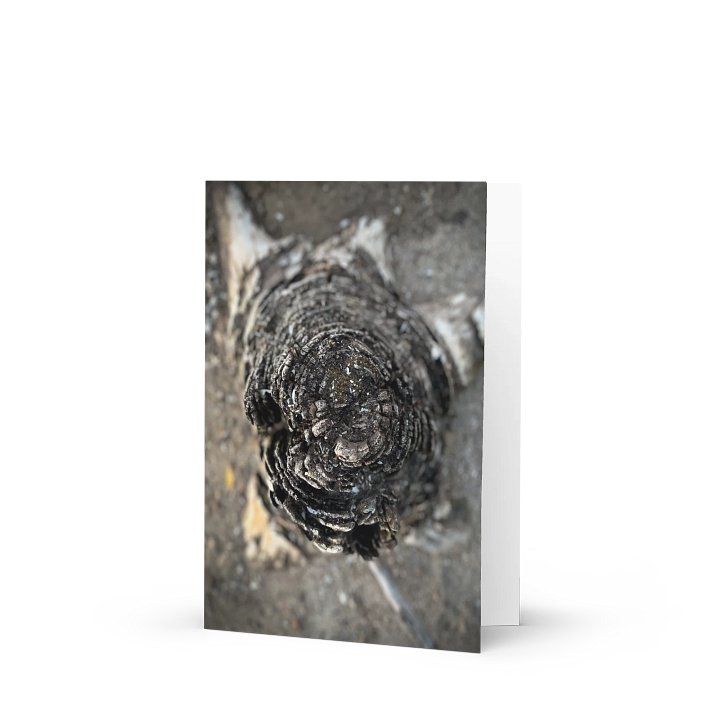 Weathered Wisdom Greeting Card product image (1)