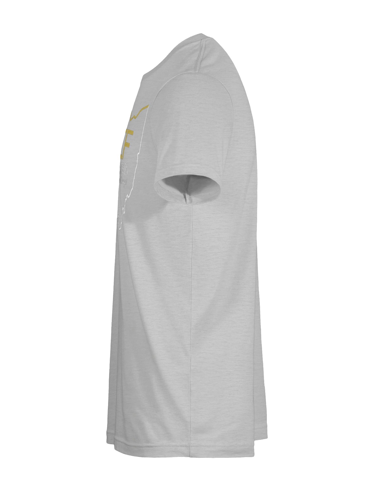 OLBCF Plain Logo Tee Gray product image (9)
