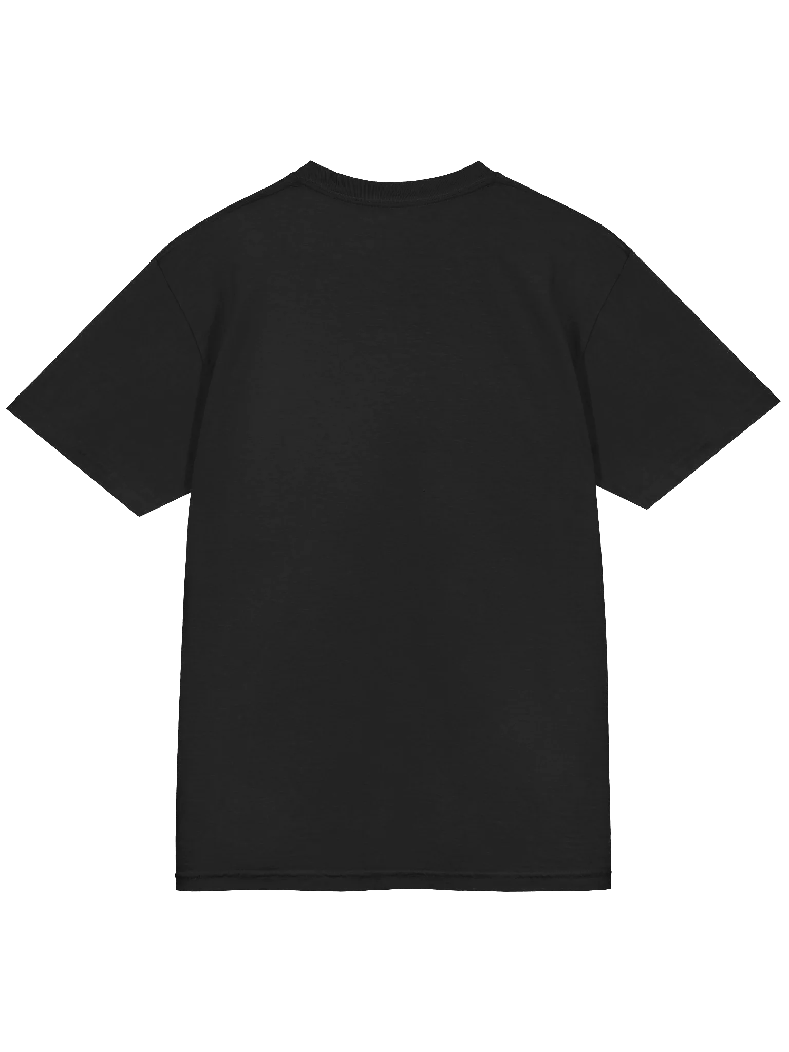 Library University Tee (Comfort Colors) product image (15)