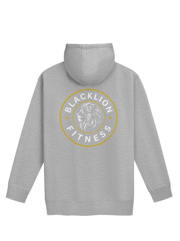 BLACK LION FITNESS BACK GRAPHICS HOODIE product image (11)
