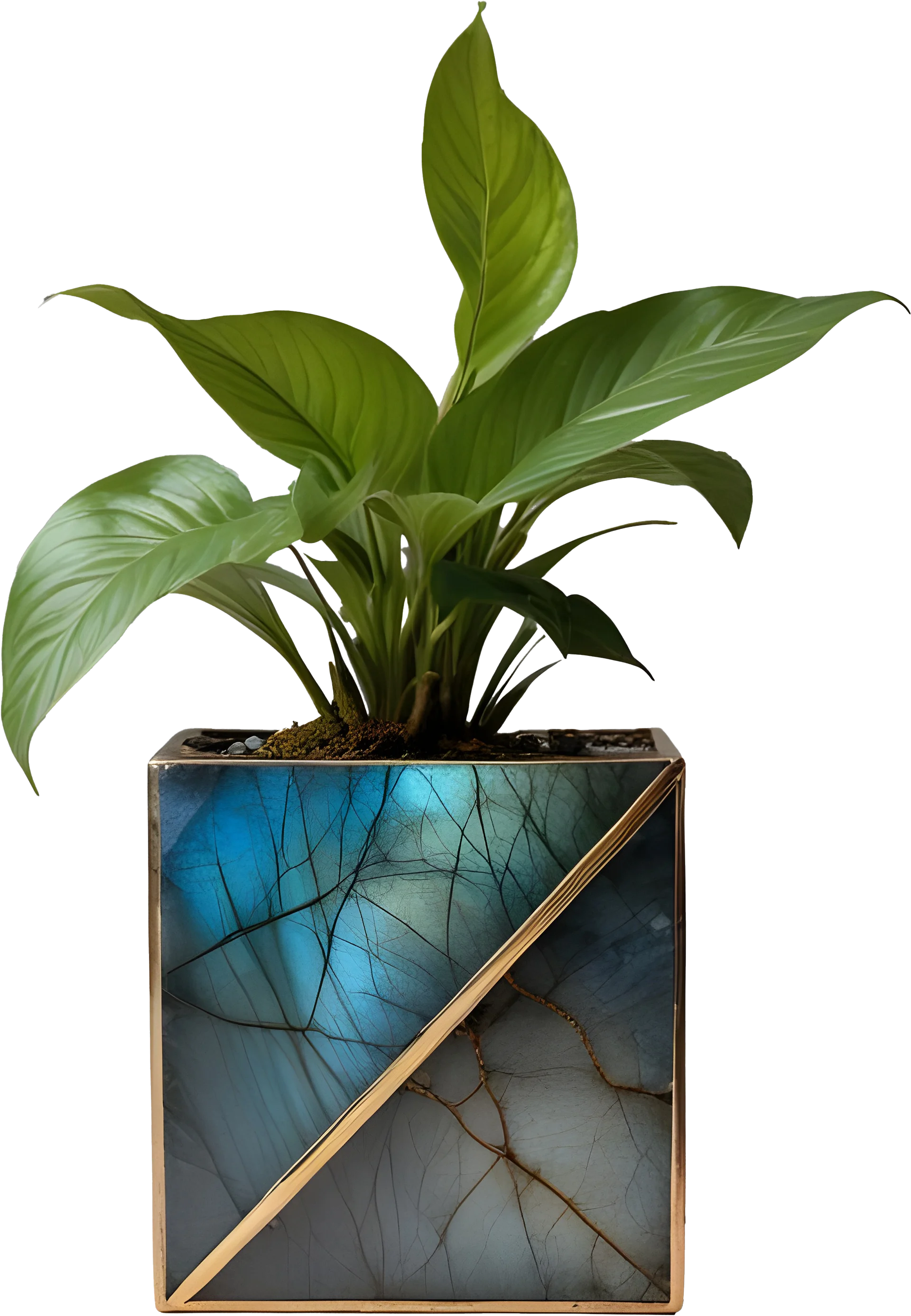 Stellar Luxe – Diagonal Labradorite & Bronze Planter PNG product image (1)