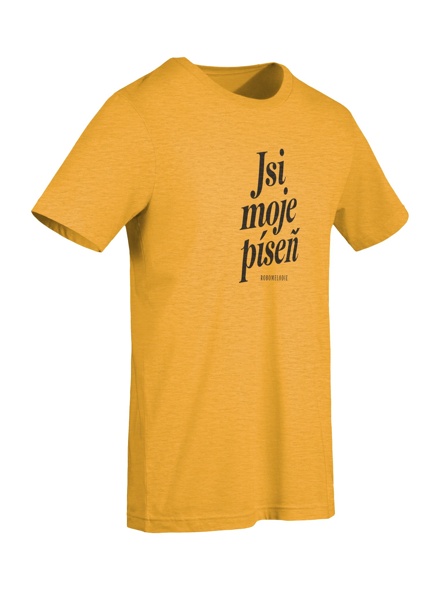 Jsi moje píseň product image (57)