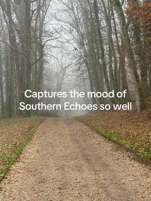 Southern Echoes (Web of Echoes , Book 6) #timetravel #booktok #fyp #historicalfantasy #readersoftiktok 