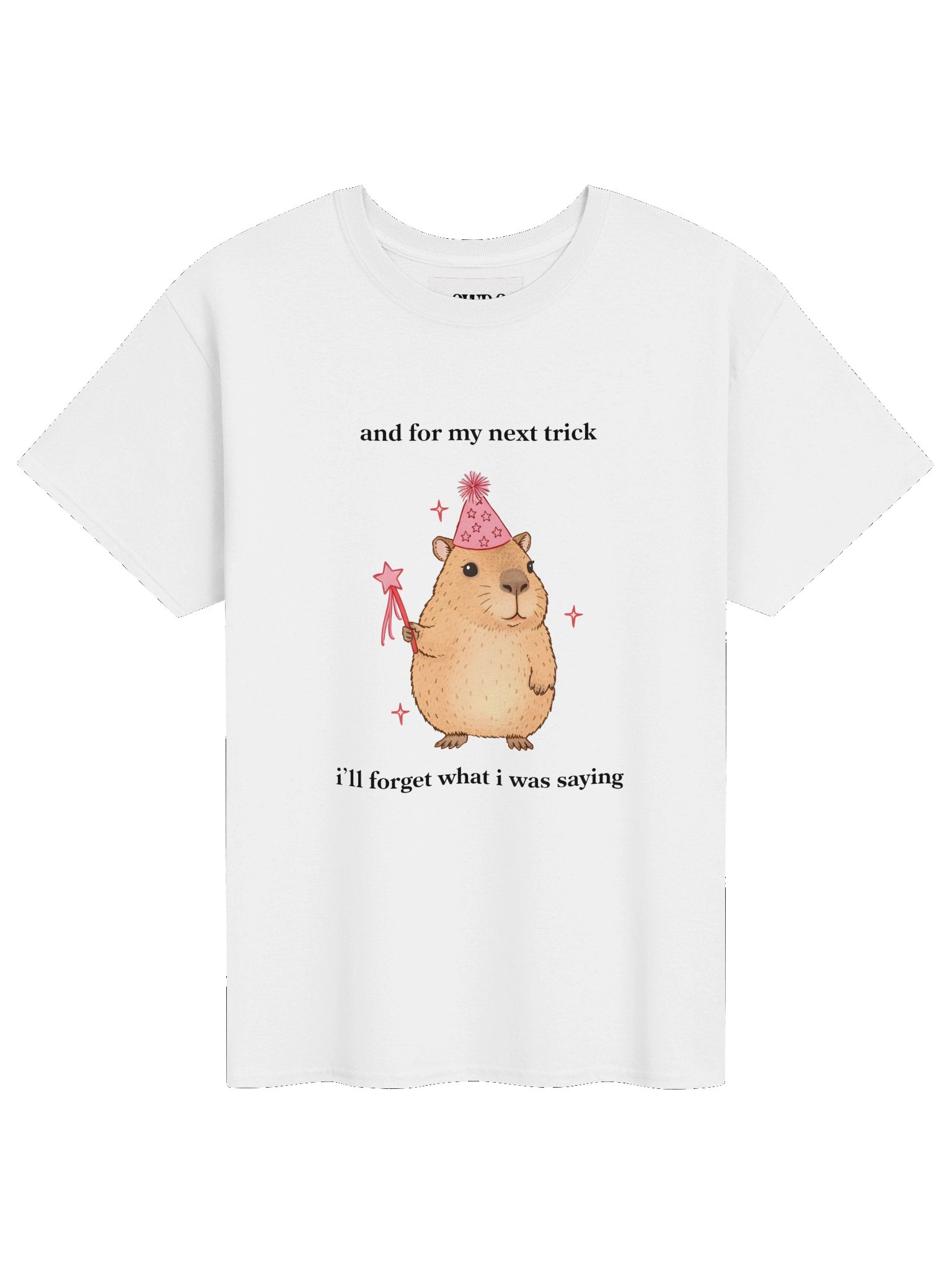 Magic Cabybara product image (1)