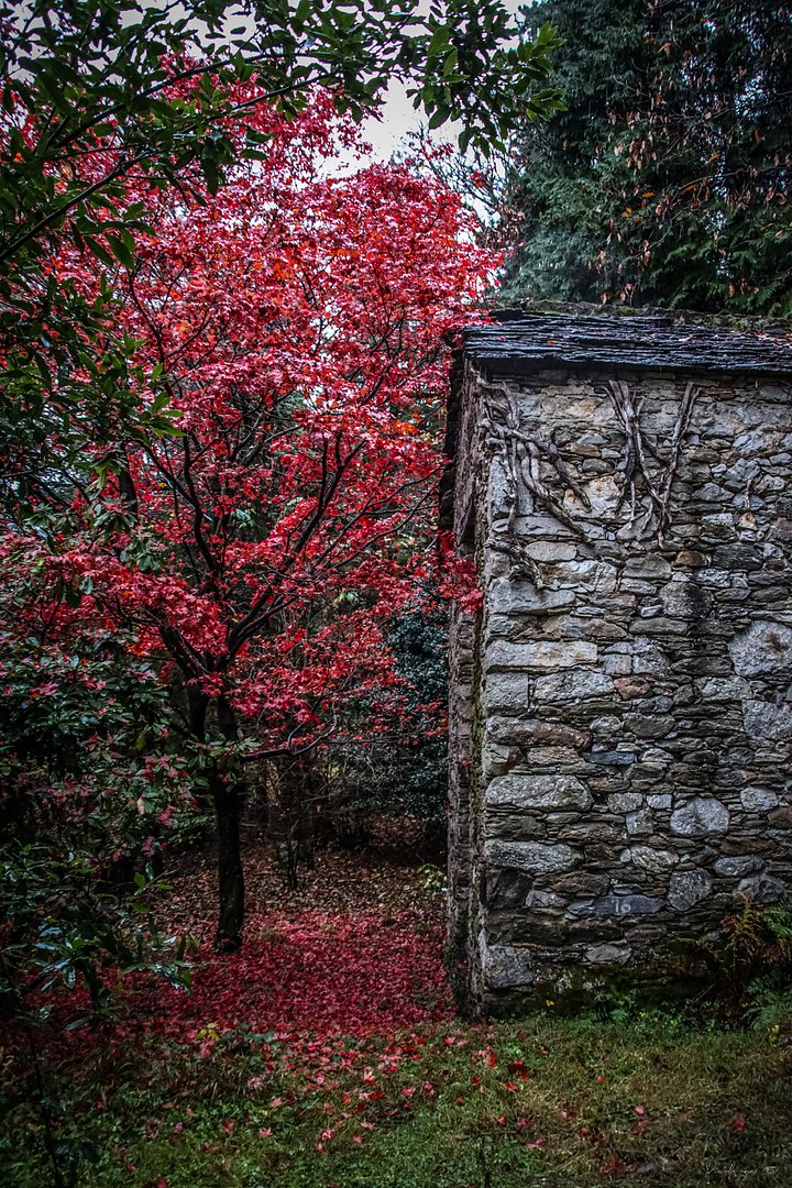 Fine Art - The Forgotten Sanctuary product image (1)