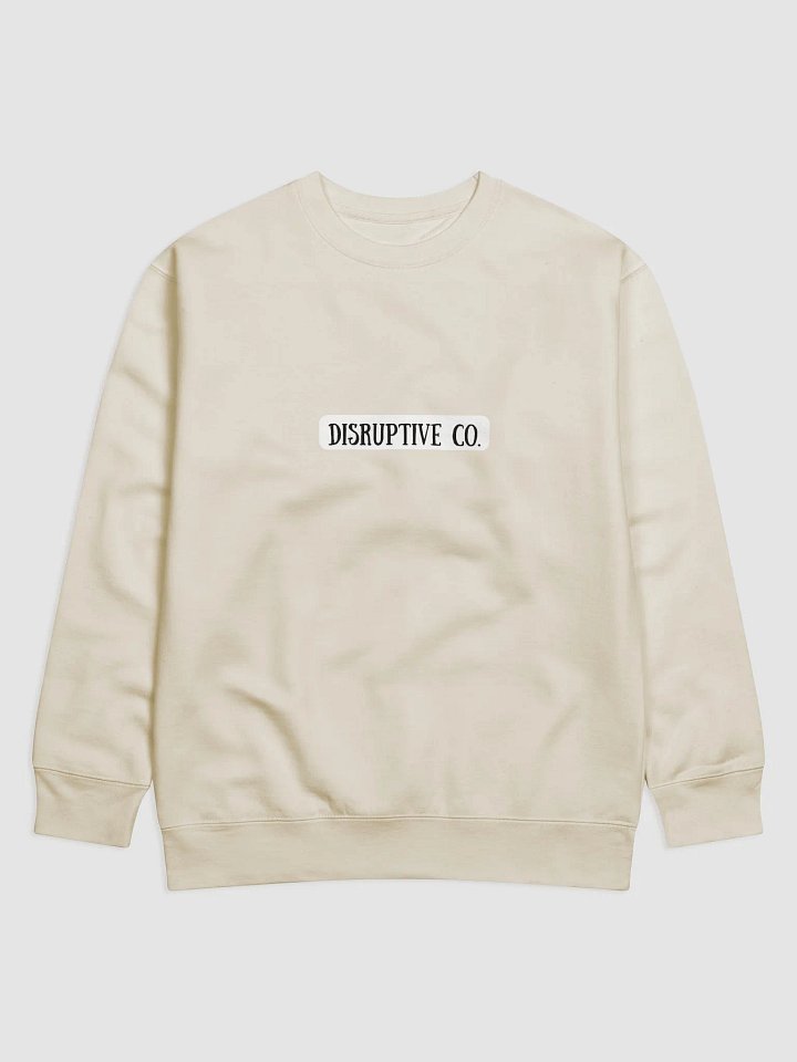 INFLUENCER x DISRUPTOR product image (2)