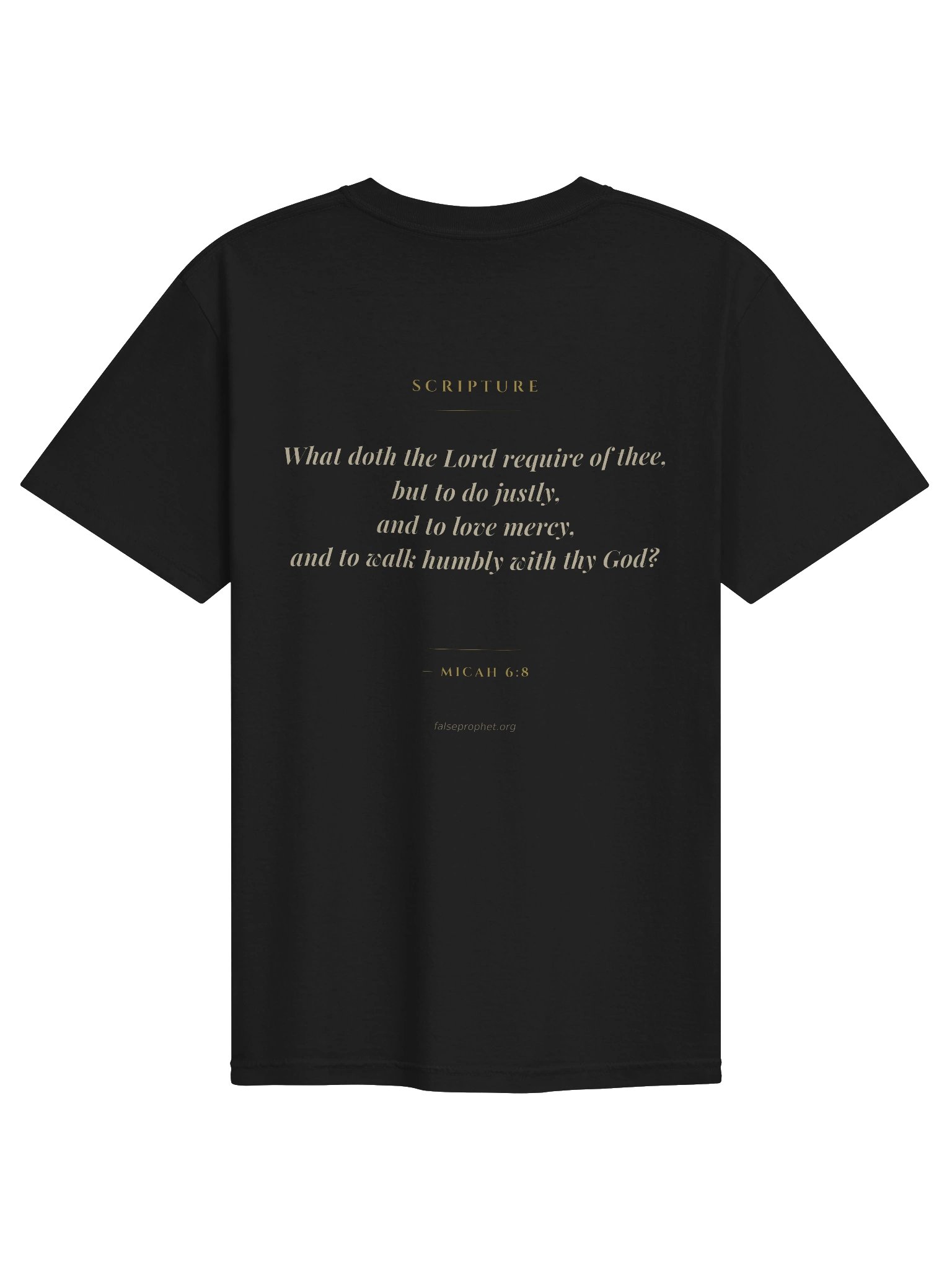 Micah 6:8/Walk Humbly T-Shirt (Black) product image (1)